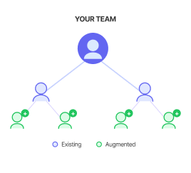 Team Augmentation